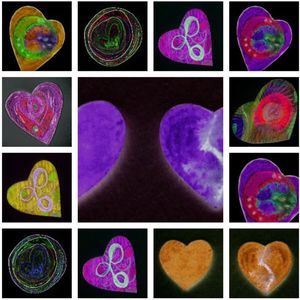 Meet your Posher, Ann